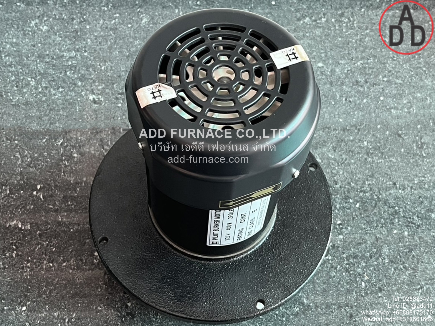 Pilot Burner Motor 220V 200W 2Pole (10)